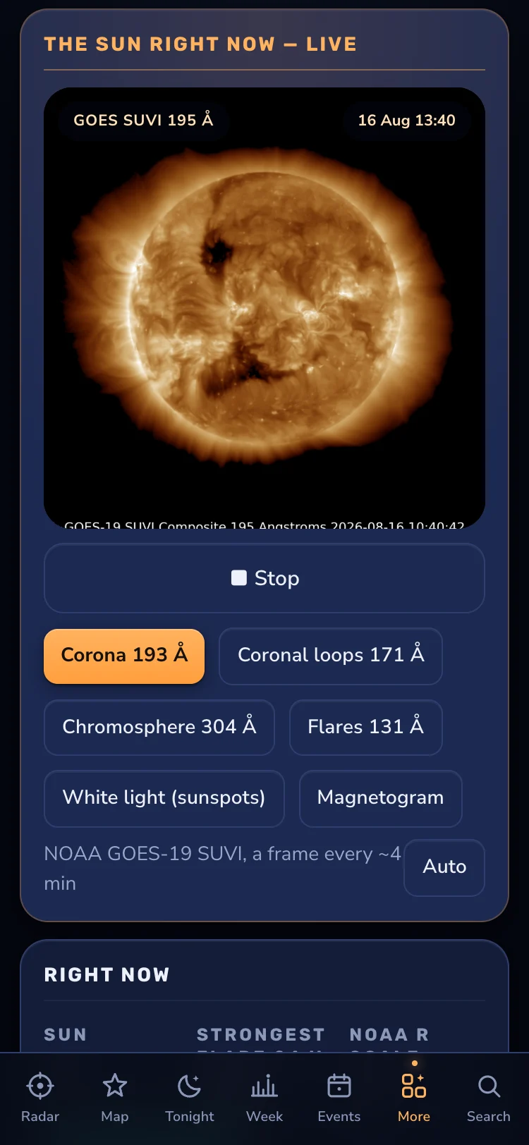 The Sun right now in 195 Ångström ultraviolet, from the NOAA GOES-19 SUVI instrument